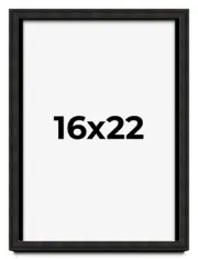 16x22 Shadow Box Black Rustic Barnwood Display Frame | 1.125 Inch Deep | 0.875
