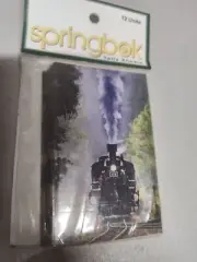 Bridge Tallies (1 Packs of 12) by Springbok