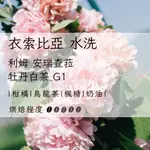 【衣索比亞 利姆 安瑞查菈 牡丹白茶 G1】自家烘焙 手沖咖啡 單品咖啡 精品咖啡 咖啡豆 咖啡粉 客製化烘焙