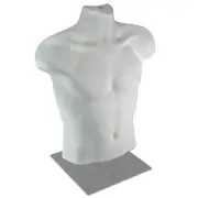 Azar Displays Male White Plastic Bust, Torso Mannequin, on 12" Square Silver...