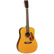 Tanglewood 40DANE Sundance Historic Dreadnought with Case