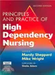 Principles And Practice Of High Dependency Nursing