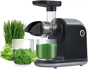 Slow Masticating Juicer, 150W Cold Press Juicer for Fruit & Vegetable, 90% Juice Yield, Easy to Clean Quiet Motor & Reverse Function with Brush, for Fruit Shop Buffet Restaurant
