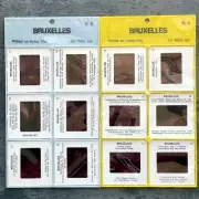 Set of 12, Vintage 35mm Sepia Slides of Brussels Landmarks BELGIUM Europe