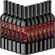12 Bottles - Scorpio Cabernet Sauvignon 750ml Red Wine South Australia Vineyards
