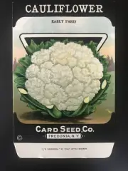 1920s Litho Antique Vintage Card Seed Co. Seed Packets Packs Cauliflower early