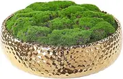 NAHARO New Golden Handmade Simulated Moss Ceramic Bowl - 9.5'' Artificial Moss Centerpiece for Home Decoration, Living Room, Office - No Maintenance