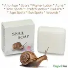 Anti-Aging SNAIL SOAP Age Spots, Pigmentation, Cellulite,Scars, Stretch Marks