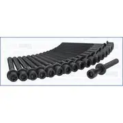Austral Cylinder Head Bolt Set - 81031400