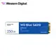 WD 藍標 SA510 250GB M.2 2280 SATA SSD 現貨 廠商直送