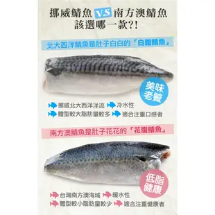 愛上生鮮 老饕挪威薄鹽鯖魚(4/6/8/12片)營養CP值高 Omega-3低(180g/片)現貨 現貨 廠商直送