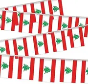32FT Small Lebanon Pennant Flag Bunting,30 PCS Mini String Banner Strip Lebanese National Decor Rectangle for Holiday Restaurant Home Party School