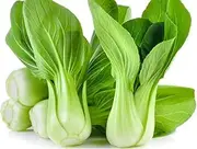Cabbage, Chinese PAK Choi Green 100 Seeds Tropics OK, Heavy yields Veg