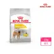 【ROYAL 法國皇家】皮膚保健中型成犬乾糧 DMM 12KG(狗乾糧 狗飼料)