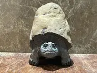 在飛比找Yahoo!奇摩拍賣優惠-【尤不拉石製名龜收藏】黃龜甲 黃金龜 平安龜 烏龜 石雕 石
