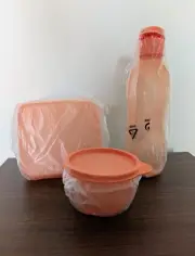 Tupperware Meal On The Go Set. New/SEALED. Last One!
