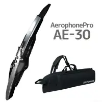 在飛比找松果購物優惠-零卡分期 Roland AE-30 Aerophone Pr