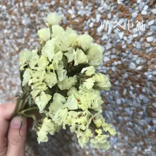 *晴冬小舖*乾燥花材-星辰花 星辰 乾燥花束 乾燥花 婚禮佈置 居家佈置 拍照道具 店面佈置 花束