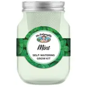 Mr Fothergill's Self Watering Mason Jar Grow Kit- Mint