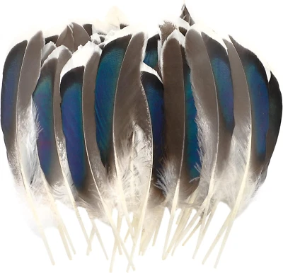 250 Pieces Duck Feathers for Craft Wedding Home Party Halloween Costumes Decorat