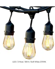 BRIGHTECH Ambience Pro 48ft 15 Bulb LED Hanging String Lights