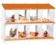 Chicken Nesting Box, Metal Nesting Boxes for Chicken, 8 Compartment Orange