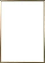 Large OA Frame B2 Gold Line Frame (5017)