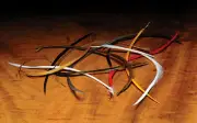 Hareline Dubbin Stripped Goose Biot