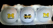 3 University of MICHIGAN Logo Golf Balls - One Pro-Grade 1 USA - Wolverines