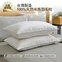 在飛比找鮮拾優惠-【Aibo】五星飯店級台灣製造100%天然水鳥羽毛枕(2入)