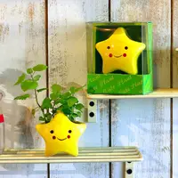 在飛比找PChome24h購物優惠-【迎光】Cute plant陶瓷植栽-星星