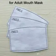 20pcs PM 2.5 Face Mask filter replacements