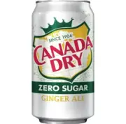 New Exclusive Canada Dry Zero Sugar Ginger Ale Soda (2 Cans)