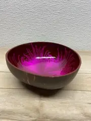 Coconut Shell Bowl Pink Splash Handmade And Painted