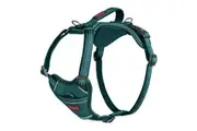 Halti Anatomy Dog Harness (Teal) - UTTL5916