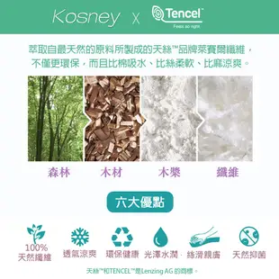 ＶSIX薇瑟思 100% 萊賽爾天絲 兒童涼被【100x120公分】兒童節 艾草抗菌Tencel 親膚 可超取 巴麗維亞