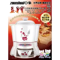 在飛比找旋轉拍賣優惠-【現貨+預購】E - 日象：陶瓷！養生煎藥機(ZOI-996