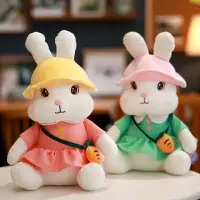 在飛比找樂天市場購物網優惠-小白兔毛絨玩具可愛兔子公仔少女心女孩子生日禮物陪睡覺安撫玩偶