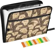 Paper File Folder 13 Pockets A4 Letter Size with Zipper Closure for Document Storage Cute Cartoon Hedgehog organizador