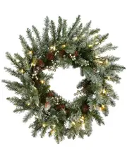 National Tree Company 24in Snowy Morgan Spruce Wreath With Twinkly Led Lights