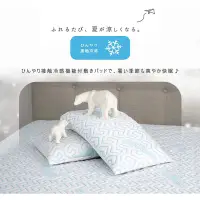 在飛比找蝦皮購物優惠-【契斯特】日本授權極凍紗恆溫27度美式枕套 二入組(冰涼墊 