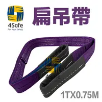 在飛比找PChome24h購物優惠-4Safe E型吊带 1TX0.75M 織帶寬度30MM 安