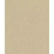 4096-554533 Dale Gold Neutral Texture Modern Style Unpasted Non Woven Wallpaper