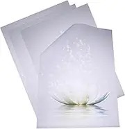 HONMEET 12x16 Inches Lotus Meditation Wall Art Boho Decor Canvas Flower Painting Bedroom Wall Art Decor