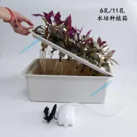 在飛比找蝦皮購物優惠-家庭室內陽台蔬菜多肉種菜花卉自動水培種植箱 靜態水培育苗箱陽