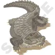 Alligator Embroidered Patch Comes in 2 sizes