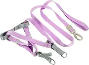 DINHEAROM 1Set Adjustable Dog Harness and Leash Walking Lightweight and Comfortable Design for Puppies Durable and Ergonomic Pet Gear