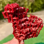 11G Natural Red coral reef Cluster Obean Mineral Crystal Specimen