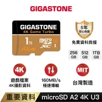 在飛比找蝦皮商城優惠-【GIGASTONE】資料救援記憶卡A2 U3 1T/512