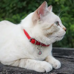 貓標籤自定義小貓標籤 手工小可愛貓咪標籤